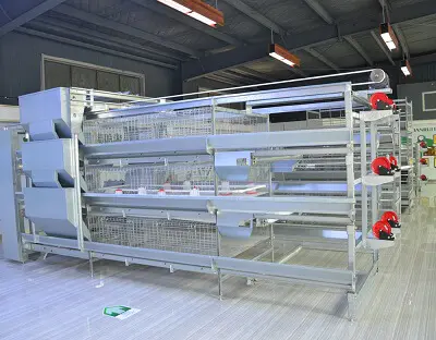 Feed Conveying and Dispensing Device Manual Bird harvesting Broiler Chicken Cage