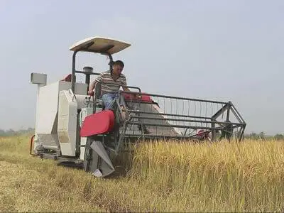 combine rice harvester