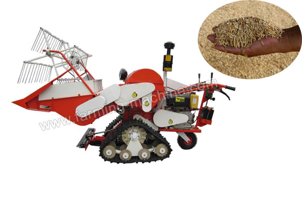 Walking-type Small Rice Harvester