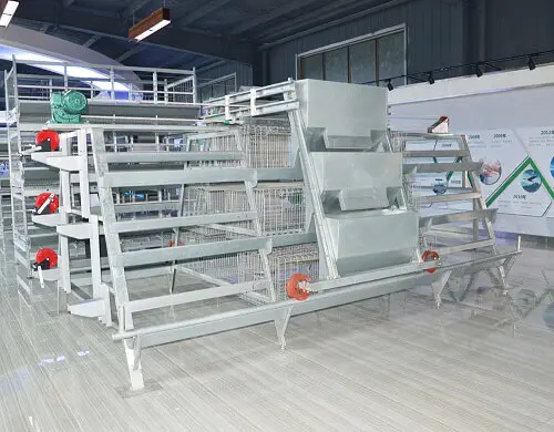 Feeding System A Type Pullet Chicken Cage