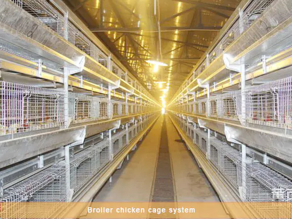 good broiler battery cage system