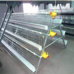 baby chicken battery cage