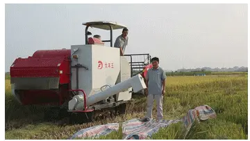 large rice harvester