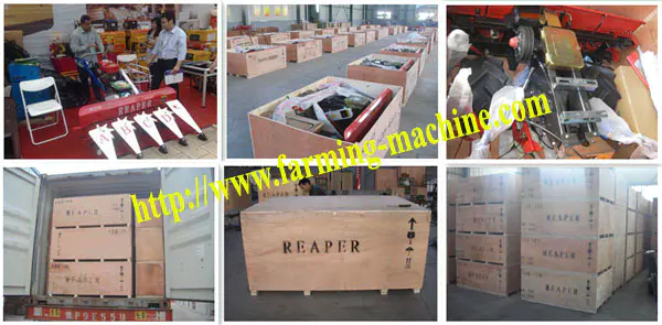 exhibition_and_packing_process