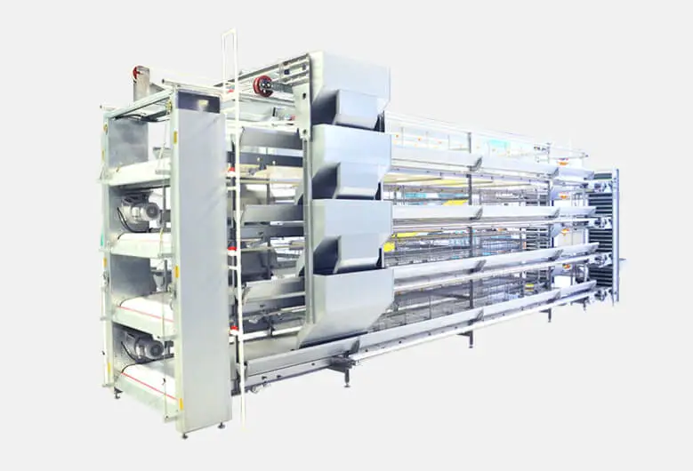 Automatic H type layer chicken cage