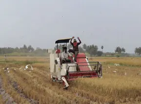 rice combine harvester