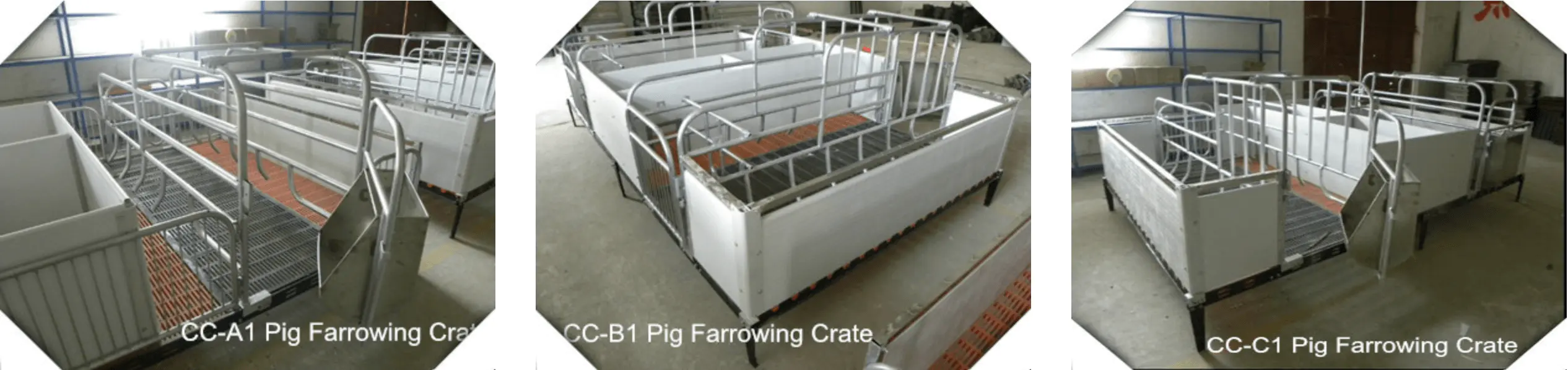 3 Models of Pig Farrowing Crates & Conjoined Pig Farrowing Crate