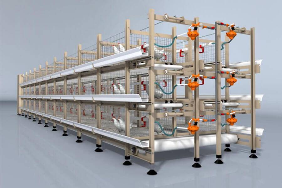 Broiler Battery Cage