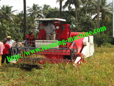 rice_harvester_working_process_in_Togo
