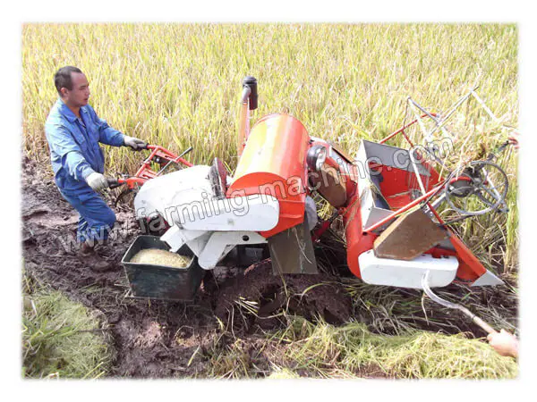 small rice harvester working