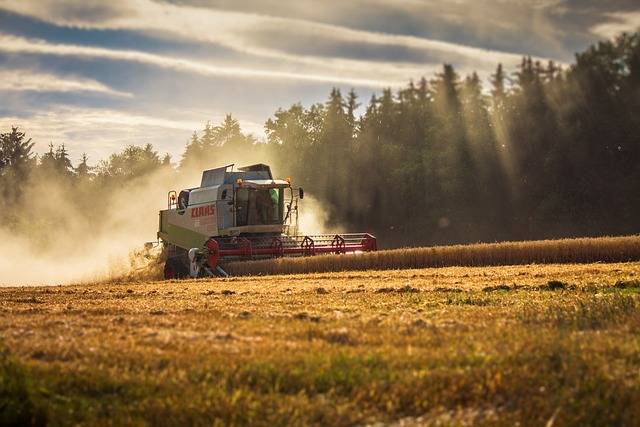 Paddy Reaper Binder to Saudi Arabia - Farming Machine