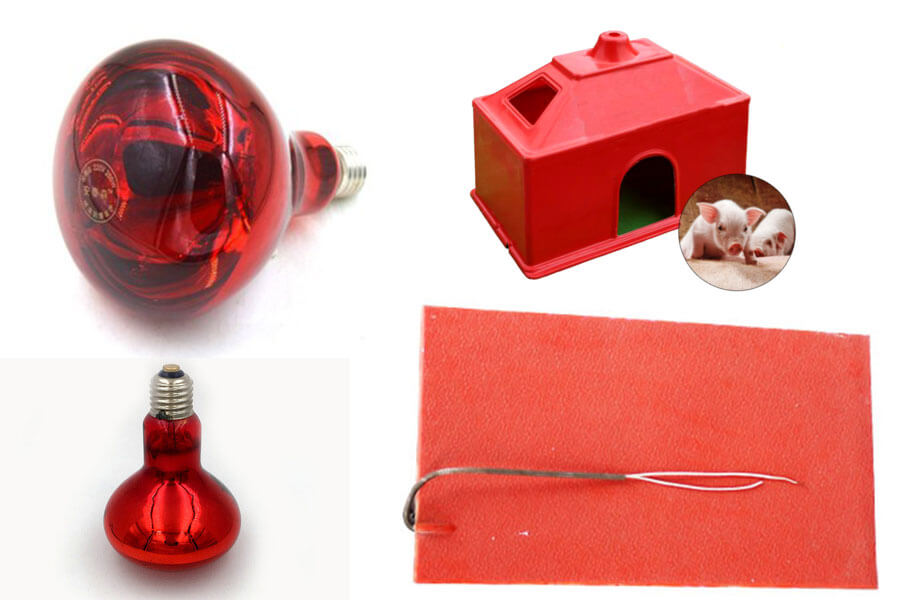 3-Pack Piglet Heat Lamps 245W - Waterproof Brooding Lamps For Livestock